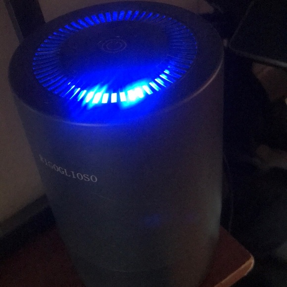 Rigoglioso True Hepa Filter - Picture 1 of 3